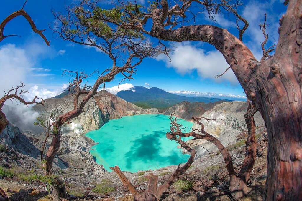 Best Tours in Trip Bromo Ijen